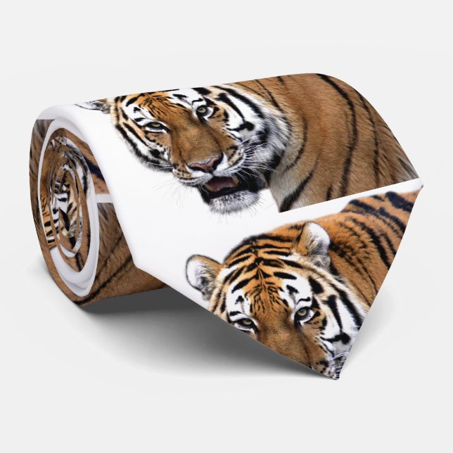 Tiger Tie (Rolled)