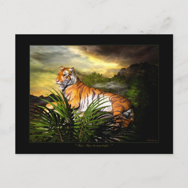 Tiger, Tiger, Burning Bright Postcard (Front)
