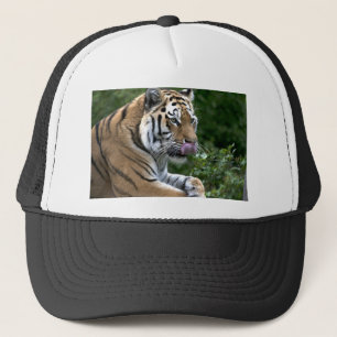 Tiger Tongue Trucker Hat