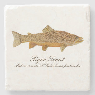 Tiger Trout Coaster