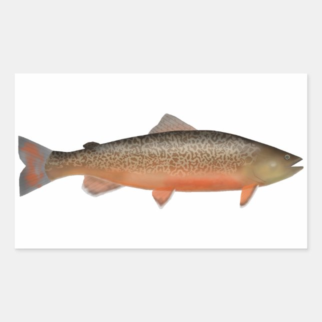 Tiger Trout Rectangular Sticker (Front)