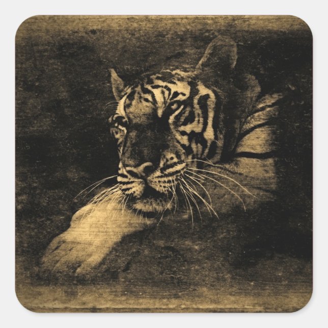 Tiger Vintage Art Sticker (Front)