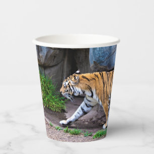TIGER WALK PAPER CUP