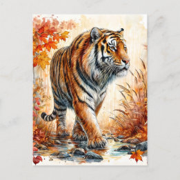 Tiger Walking In Autumn Watercolor Postcard