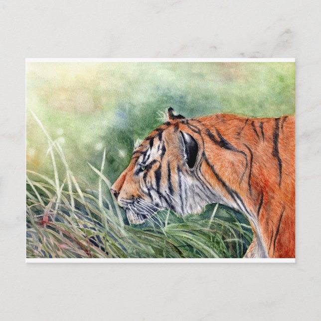 Tiger Walking through Jungle Postcard (Front)
