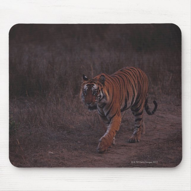 Tiger Walks along Trail Mouse Pad (Front)