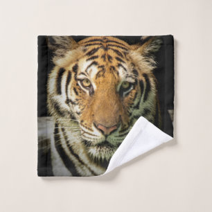tiger wash cloth