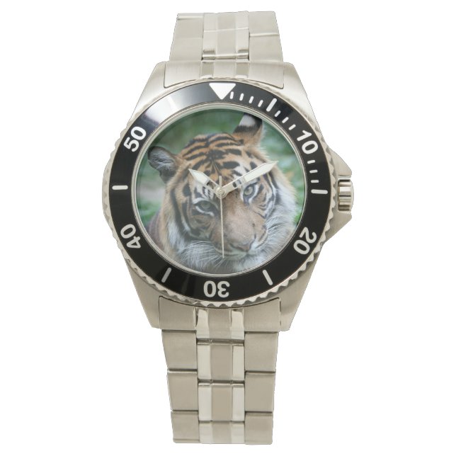 Tiger Watch (Front)