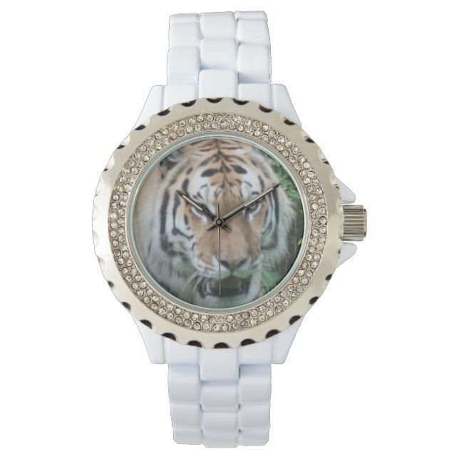 Tiger Watch (Front)