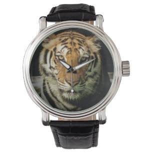 tiger watch