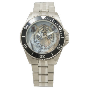 Tiger Watch