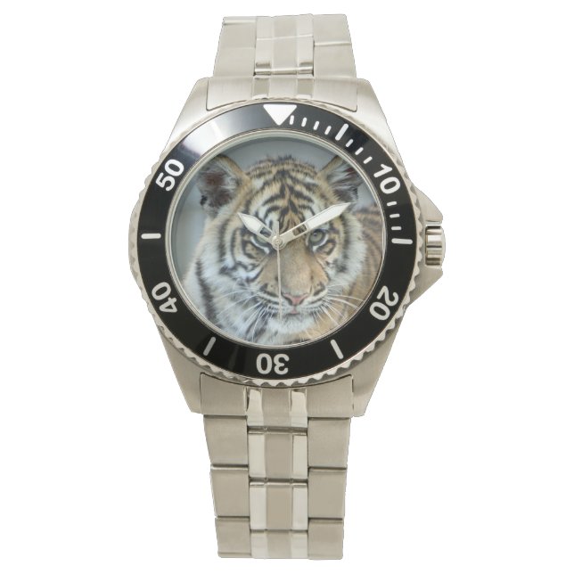 Tiger Watch (Front)