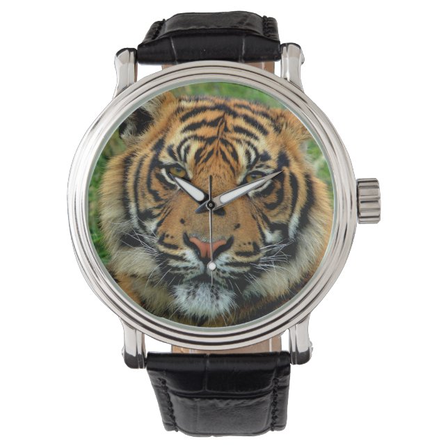 Tiger Watch (Front)