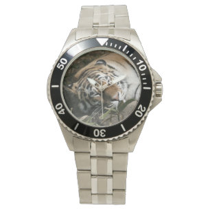 Tiger Watch