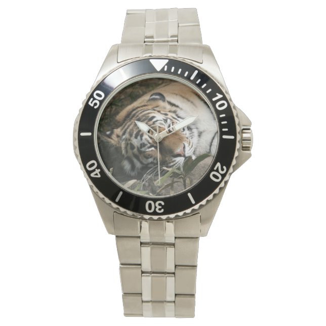 Tiger Watch (Front)