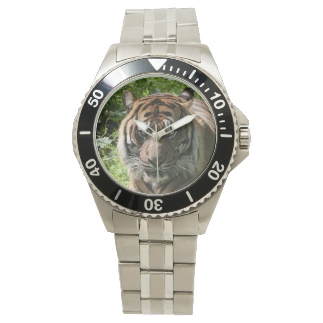 Tiger Watch (Front)