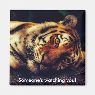 Tiger Watching You Magnet
