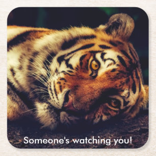 Tiger Watching You Square Paper Coaster