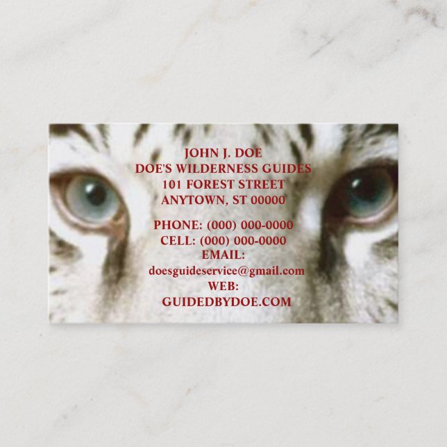 TIGER WILDERNESS OUTDOOR SERVICES ~ BUSINESS CARD (Front)
