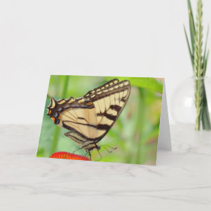 Tiger Wings - Butterfly Holiday Card