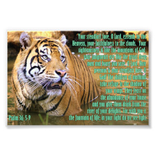 Tiger with Psalm 36:5-9 Photo Print