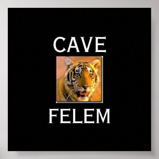 TIGERBeware Of The Cat - In Lati.... - Customised Poster