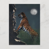 Tigers climb