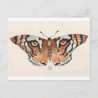 tiger's eye butterfly postcard