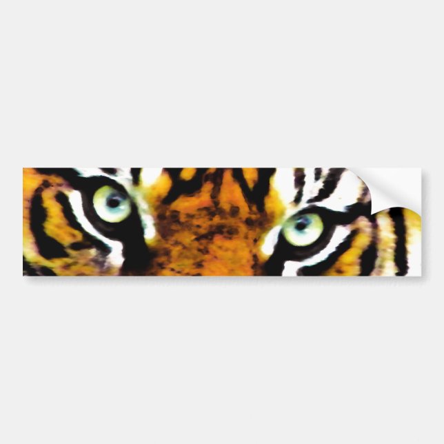 TIGER'S EYE'S_ BUMPER STICKER (Front)