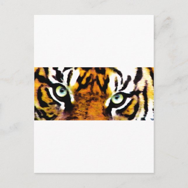 TIGER'S EYE'S_ POSTCARD (Front)