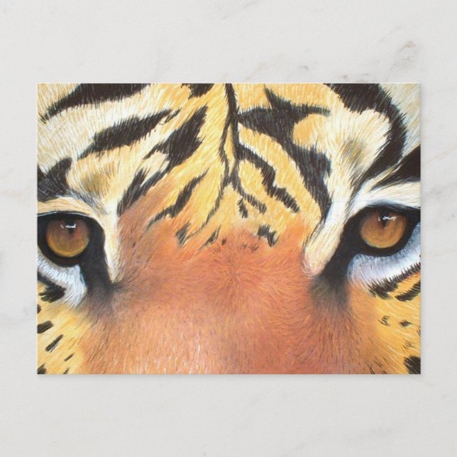 Tigers Eyes Postcard (Front)