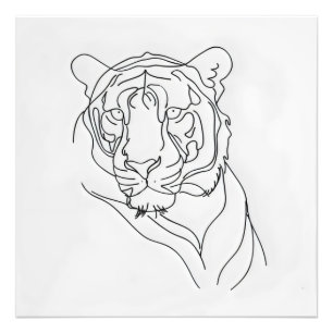 Tiger's Head Line Art Photo Print