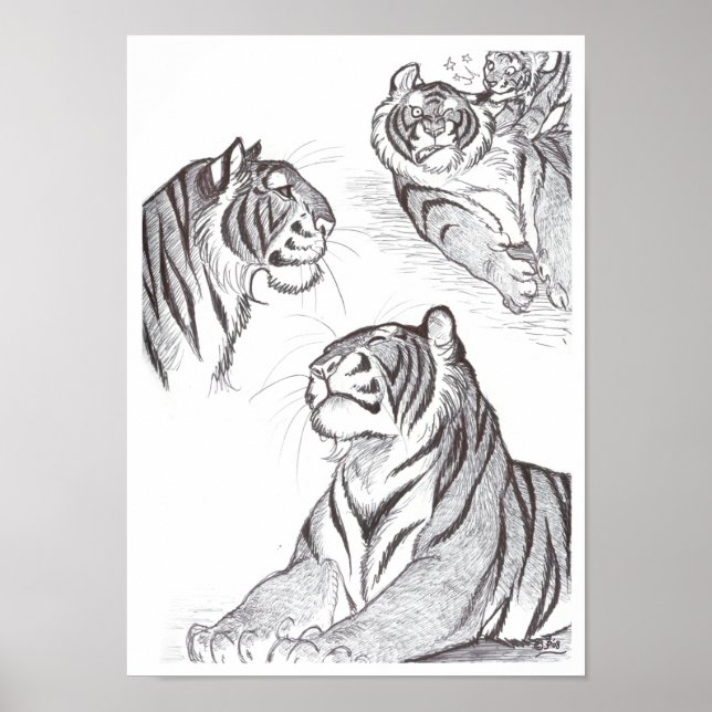 Tigers in black poster (Front)
