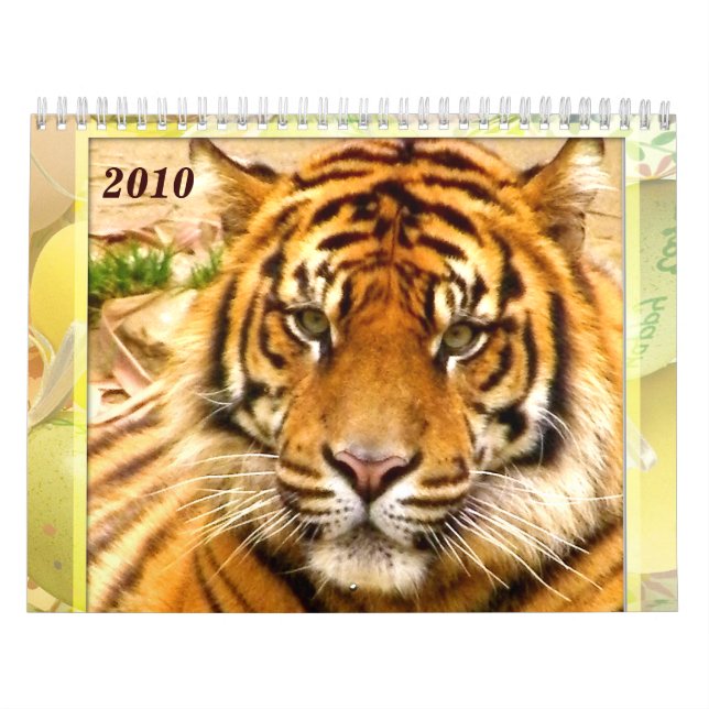 Tiger's & Lion's Expression_2010 Calendar (Cover)
