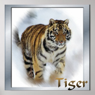 Tigers Lovers Art Poster