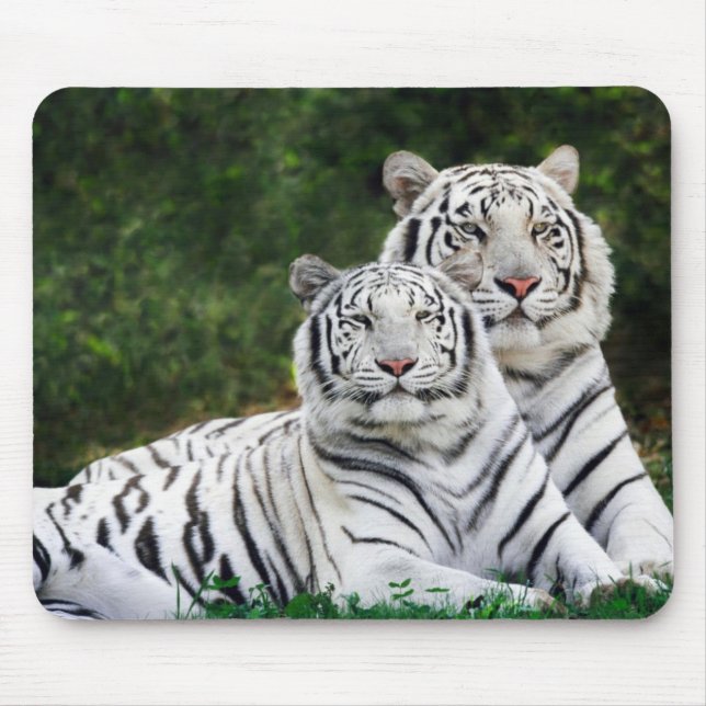 Tigers Mouse Pad (Front)