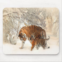 tigers on snow