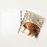 Tigers Planner<br><div class="desc">Mama and Cub Tiger
It's time to get organised! Plan your days in style with the help of a customisable planner. Perfect for your busy lifestyle,  this planner has a place to plan your months,  plan your weeks,  and write down everything that's important to you!</div>
