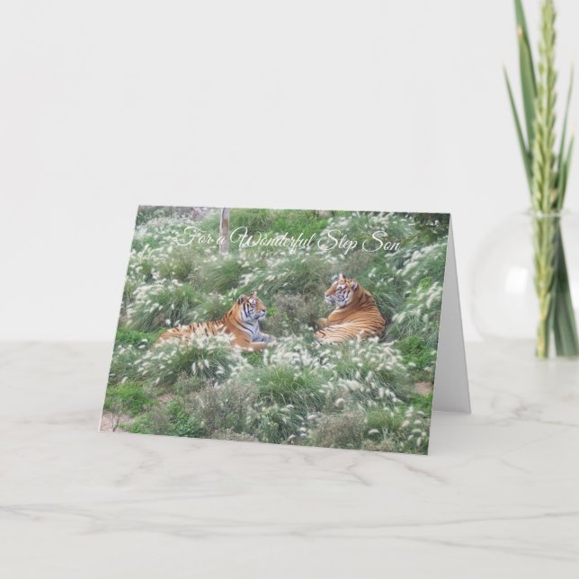 Tigers Step Son Birthday Card (Front)