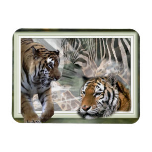 Tigers, Zebra,Giraffe, Primitive Jungle Magnet