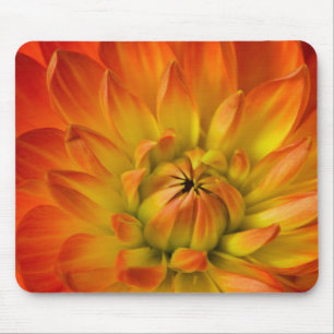 Tight in photographs of Dalhia flower with the Mouse Pad