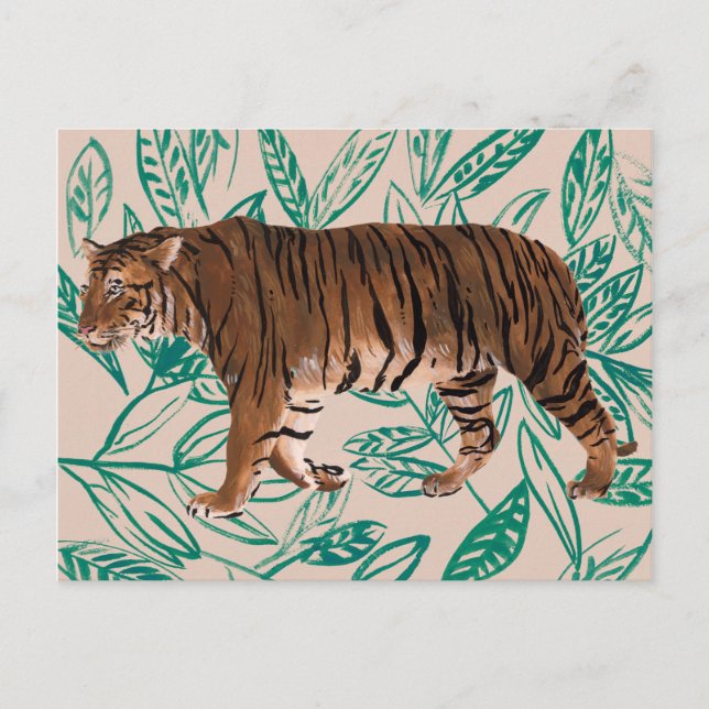 Tigre de Siberie Postcard (Front)