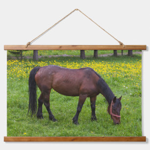 Tihuta Pass, Horse in Pasture Hanging Tapestry