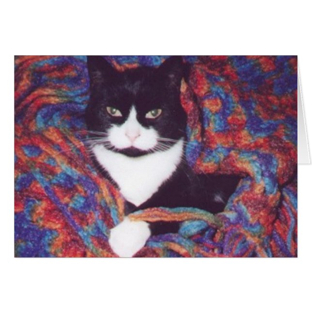 "Tiki in Doug's Afghan" (Front Horizontal)