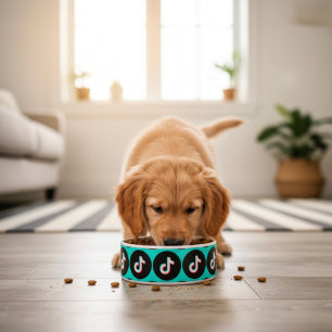 TikTok Bowl