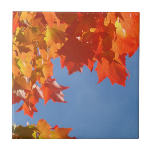 Tile Art gifts Orange Autumn Leaves Blue sky