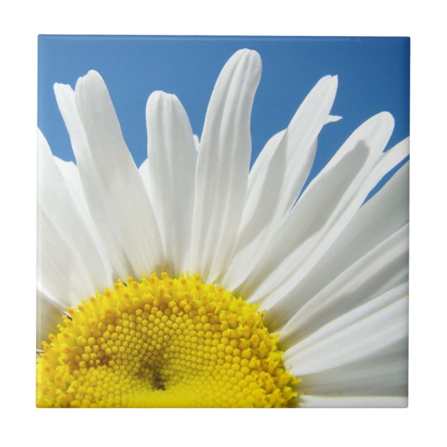 Tile Art White Daisy Flowers Blue Sky nature (Front)