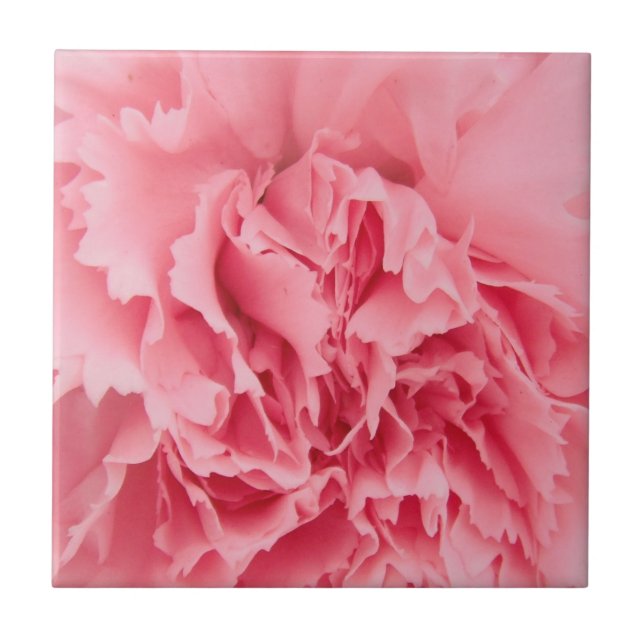 Tile Pink Carnation Close Up (Front)