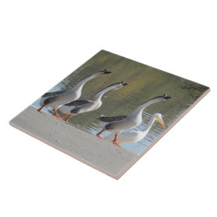 Tile - Strolling Geese