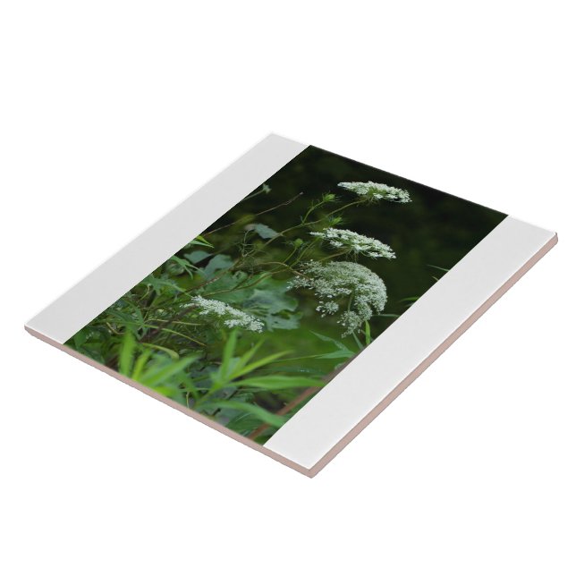 tile template (Side)